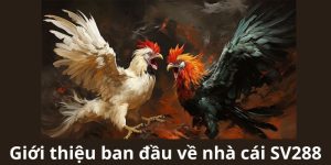  Hệ thống SV288 cam kết cung cấp các trò chơi đa dạng, phong phú